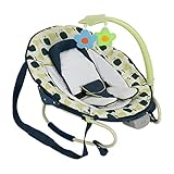 Hauck 634202 Babywippen und schaukeln Leisure e-motion Inklusive Musik und Vibration
